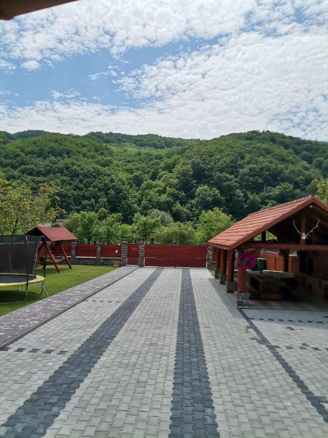 Dio Vendeghaz Otel Praid Dış mekan fotoğraf