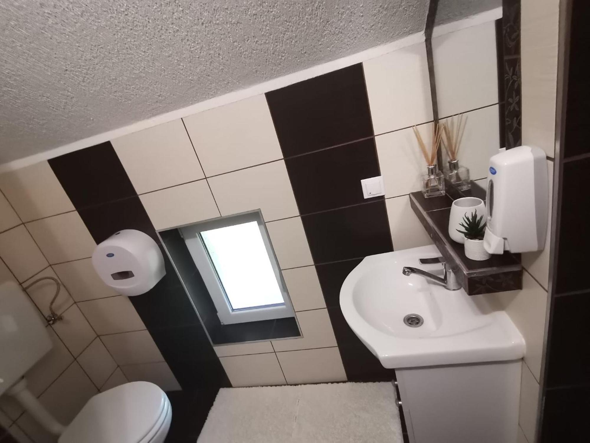 Dio Vendeghaz Otel Praid Dış mekan fotoğraf