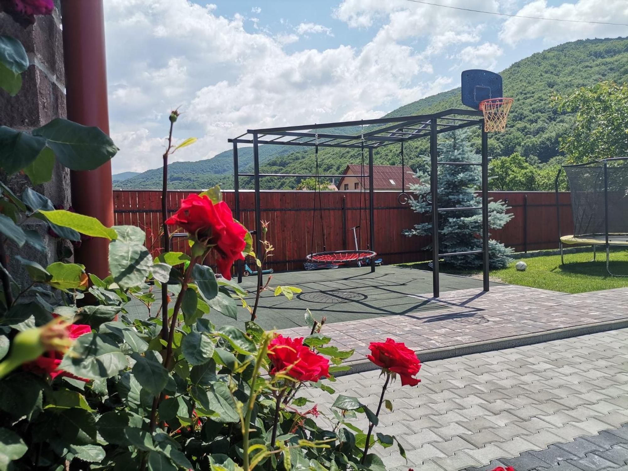 Dio Vendeghaz Otel Praid Dış mekan fotoğraf