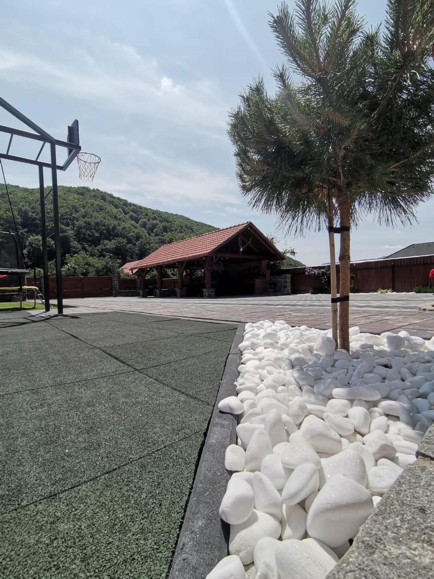 Dio Vendeghaz Otel Praid Dış mekan fotoğraf