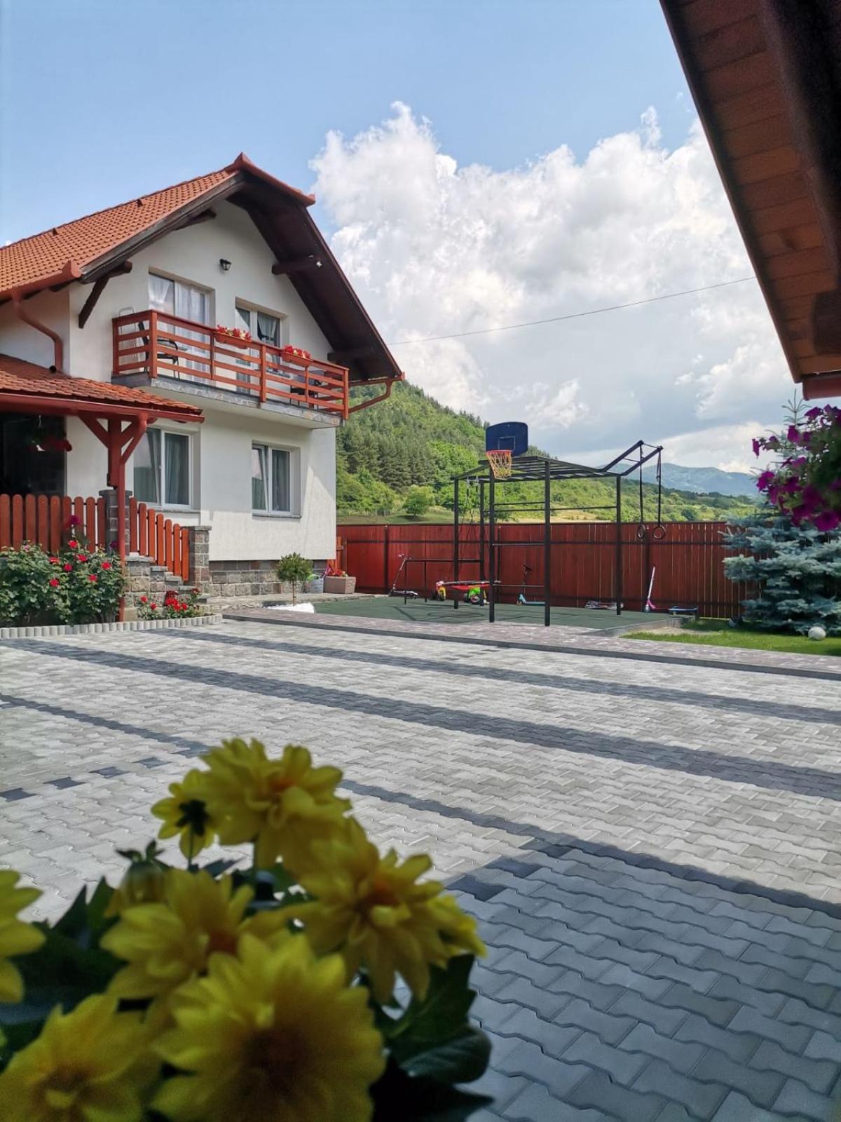 Dio Vendeghaz Otel Praid Dış mekan fotoğraf